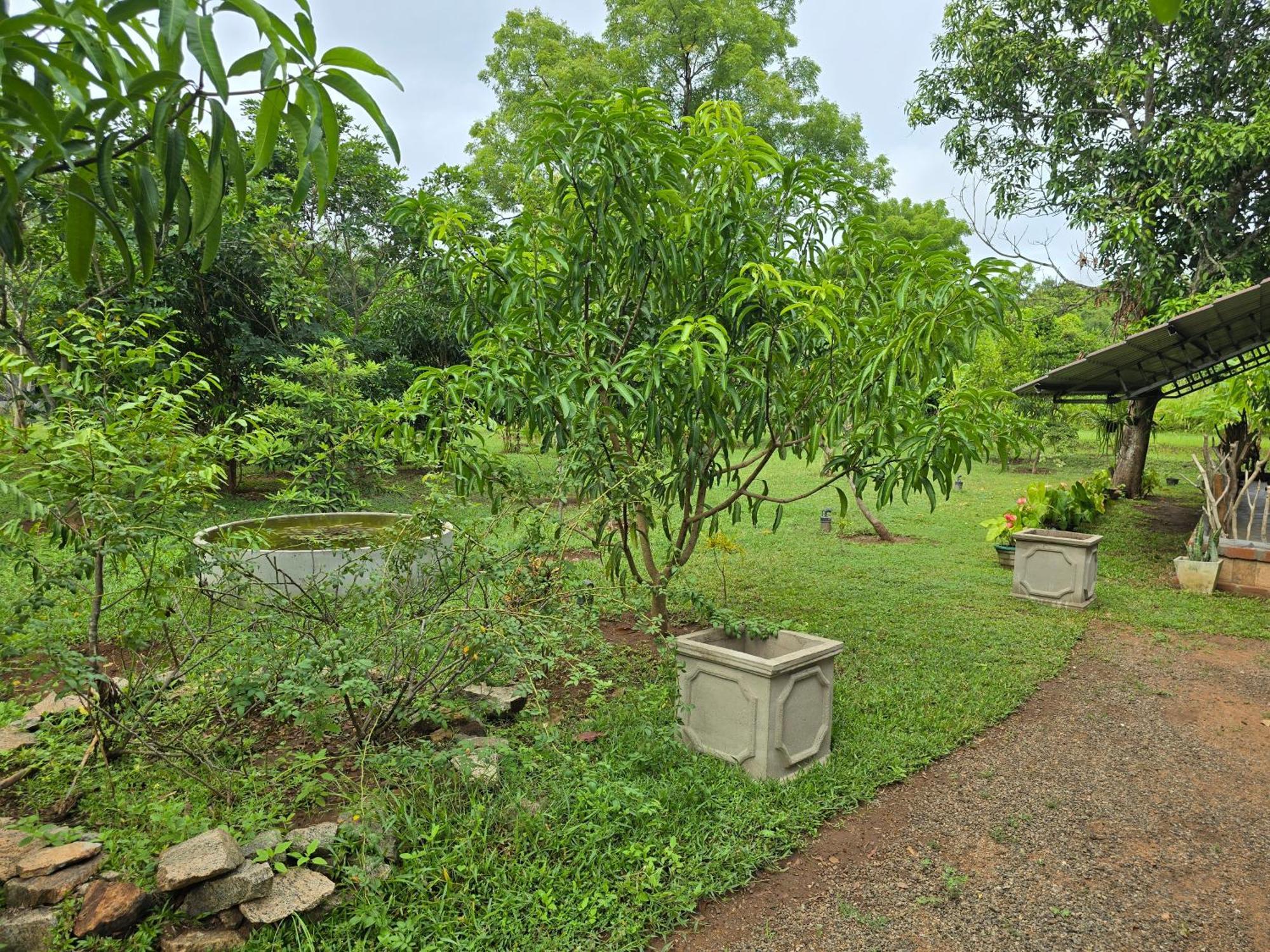 Ceylon Resort Wilpattu Exterior photo